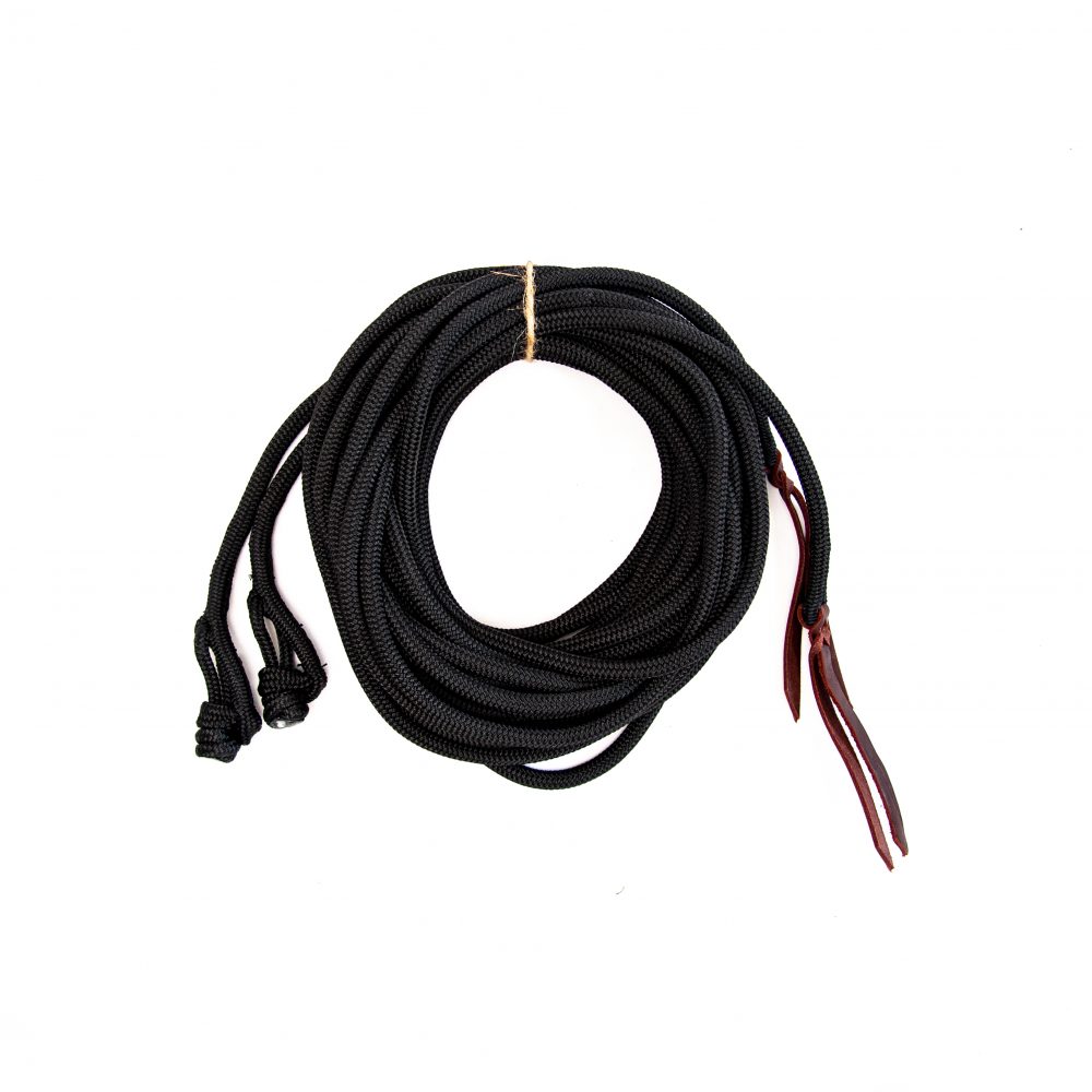 Double Dan Horsemanship Long Reins