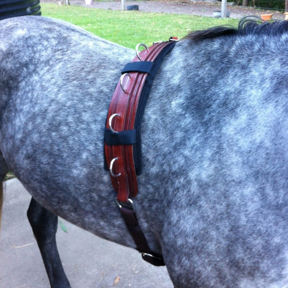 Double Dan Horsemanship Surcingle